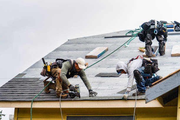 Professional Roofing technician working in Harwood, ND